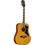 Eko Chitarra Acustica Ranger VI VR Eq