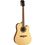 Eko Chitarra elettroacustica One D150ce