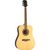 Eko Chitarra elettroacustica One D150e