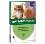 Elanco Advantage Spot-On per gatti e conigli