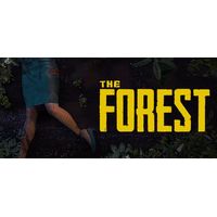 Endnight Games The Forest