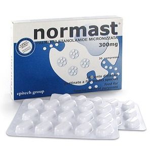 epitech normast 600 compresse