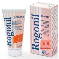 Epitech Rogonil Pomata