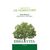 Erba Vita Argilla Verde Superventilata