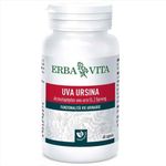 Erba Vita Uva Ursina