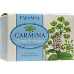 Erbamea Carmina Tisana Bustine