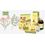 Erbamea Immunosempre Junior Fluido Concentrato