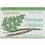 Erbamea Moringa Oleifera Capsule