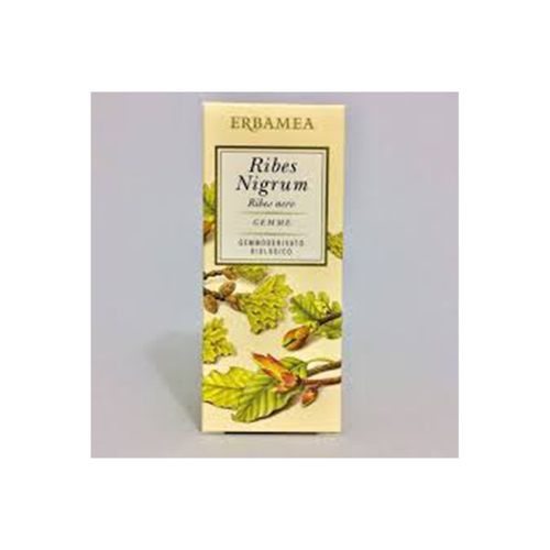 Erbamea Ribes Nigrum Gemmoderivato