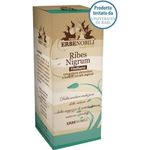 Erbenobili Fitoblasto Ribes Nigrum