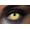 Fashion Lentilles UV Annuali