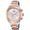 Festina F20398