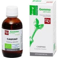 Fitomedical Carpino Macerato Glicerinato