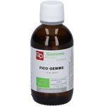 Fitomedical Fico Gemme Macerato Glicerico Gemme