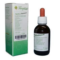 Fitosystem System Intestinum