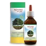 Flowers of Life Argento Colloidale 940