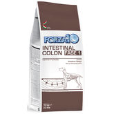 Forza10 Intestinal Colon Fase 1 Cane - secco