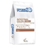 Forza10 Intestinal Colon Fase 2