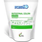 Forza10 Intestinal Colon Adult Gatto - secco