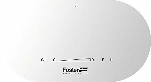 Foster Modular Induction 7368 045