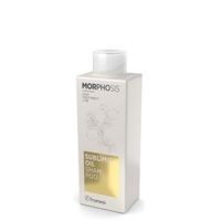 Framesi Sublimis Oil Shampoo