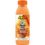 Garnier Fructis Hair Food Papaya Riparatrice Shampoo