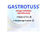 Gastrotuss Sciroppo Antireflusso Bustine
