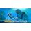 Gearbox Subnautica