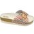 Gelattto by Gelateria International Woodstock City Multicolor Ciabatta
