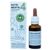 Gheos Nutri Mentis 4
