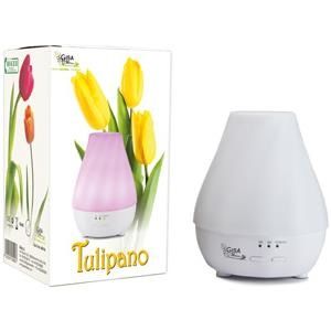 Gisa Tulipano