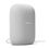 Google Nest Audio