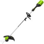 GreenWorks GD60LT