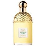 Guerlain Aqua Allegoria Bergamote Calabria Eau de Toilette