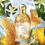 Guerlain Aqua Allegoria Nettare Di Sole Eau de Toilette