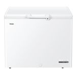 Haier HCE301