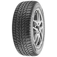 Hankook Winter i*cept RS (W442)