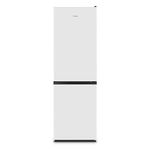 Hisense RB390N4AW20