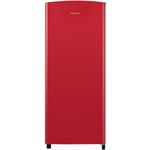 Hisense RR220D4ERF