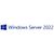 HP Windows Server 2022 (CAL)