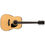 Ibanez Chitarra acustico-elettrica PF15