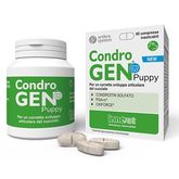 Innovet Condrogen Puppy