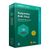 Kaspersky Anti-Virus 2024