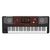 Korg Professional Arranger Pa700