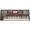 Korg Tastiera 61 Tasti Pa700 Oriental Exdemo