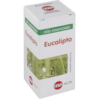 Kos Eucalipto Olio Essenziale