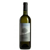 Le Macchiole Paleo Bianco Toscana IGT