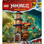 Lego Ninjago 71795 Nuclei di energia al Tempio del Dragone