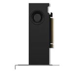Lenovo RTX 2000 Ada
