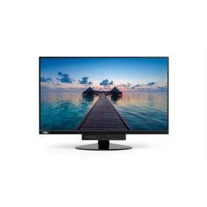 Lenovo Tiny-in-One 24